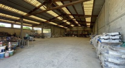 Local d'activités de 550 m² à Béziers (34500)