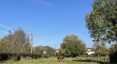 Land of 3,363 m² in Preux-au-Bois (59288)